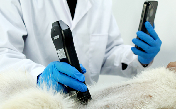 Multi-Mode Ultrasound System 